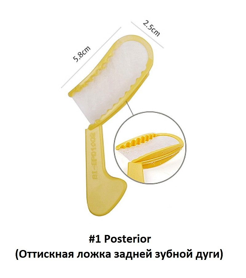 Bite Tray #1 Posterior