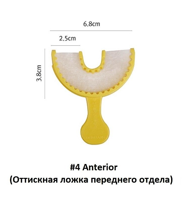 Bite Tray #4 Anterior